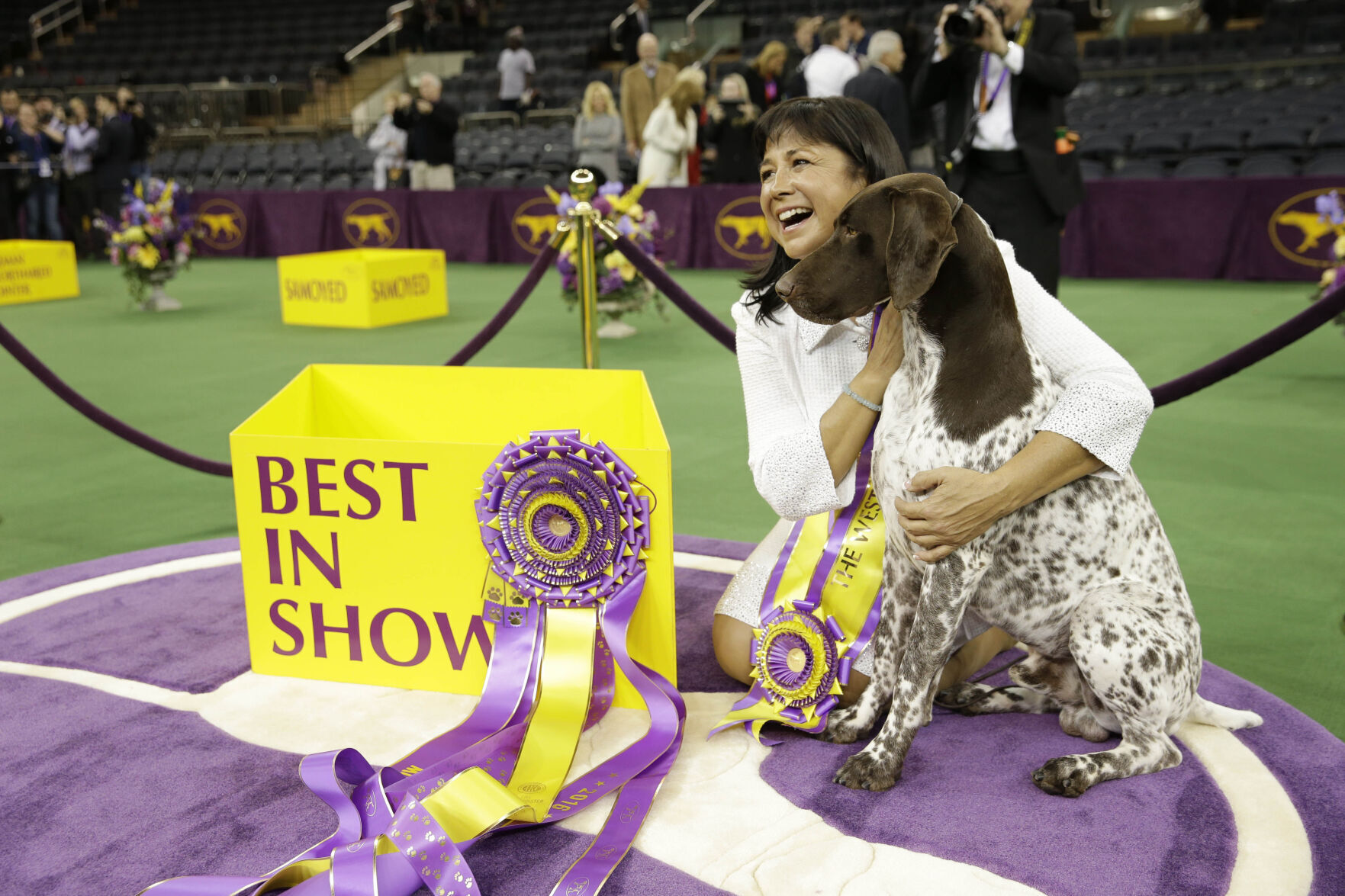 2016: Westminster Kennel Club